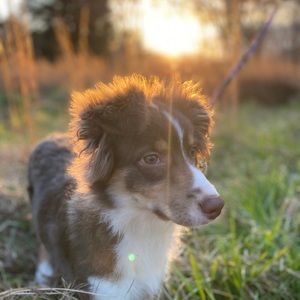 Meet your Posher, Gabrielle
